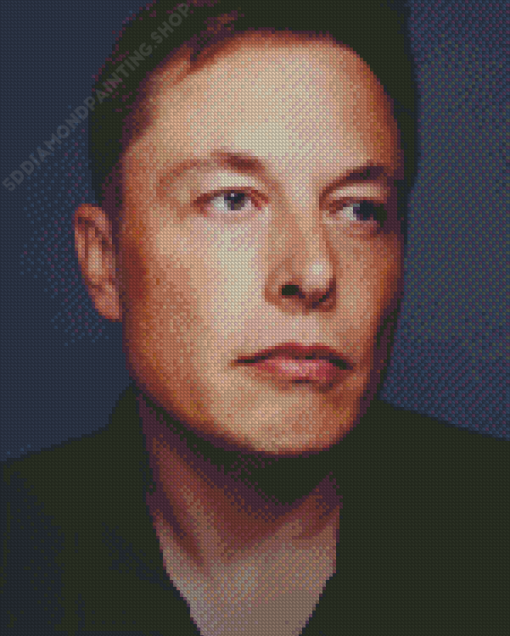 Elon Musk Diamond Paintings