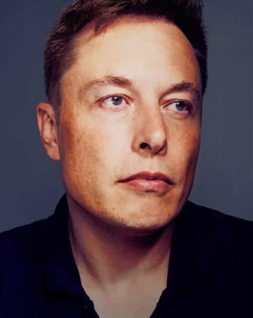 Elon Musk Diamond Paintings