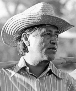 Farmer Cesar Chavez Diamond Paintings