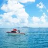 Fishing Boat In Hawaii Diamond Paintings