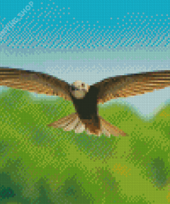 Flying Swift Bird Diamond Paintings