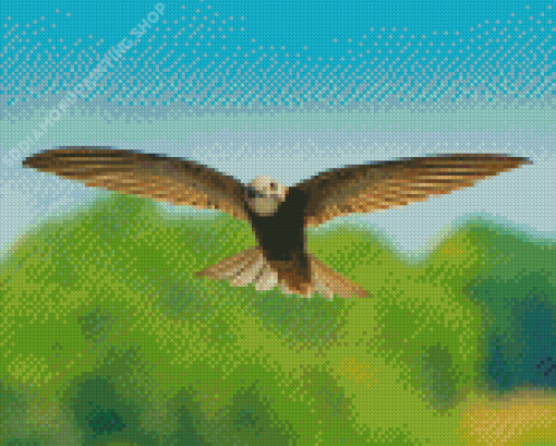 Flying Swift Bird Diamond Paintings