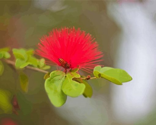 Honey Bee In Pohutukawa Flower Diamond Paintings