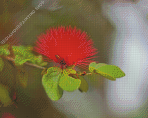 Honey Bee In Pohutukawa Flower Diamond Paintings