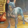 Mexico Xolo Dog Diamond Paintings