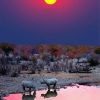 Namibia Rhino Sunset Diamond Paintings