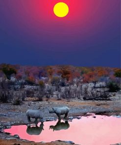 Namibia Rhino Sunset Diamond Paintings