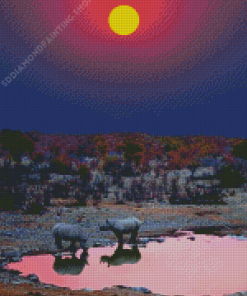 Namibia Rhino Sunset Diamond Paintings