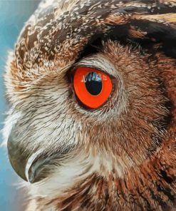 Owl Bird Portrait Side Profile Diamond Paintings