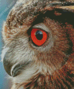 Owl Bird Portrait Side Profile Diamond Paintings