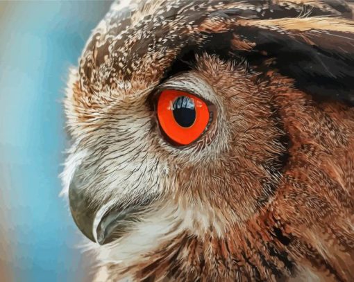 Owl Bird Portrait Side Profile Diamond Paintings