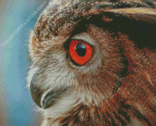 Owl Bird Portrait Side Profile Diamond Paintings