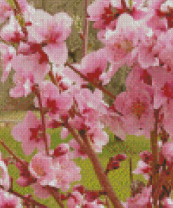 Pink Flowering Trees Blooming Diamond Paintings