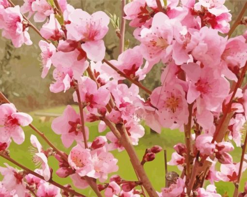 Pink Flowering Trees Blooming Diamond Paintings