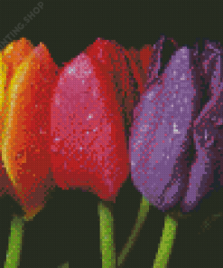 Pink Orange And Purple Tulips Diamond Paintings