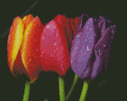 Pink Orange And Purple Tulips Diamond Paintings