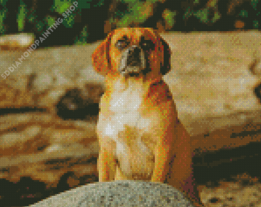 Puggle Dog Diamond Paintings