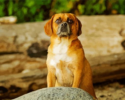 Puggle Dog Diamond Paintings