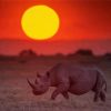 Rhino Sunset View Diamond Paintings