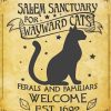 Salem Sanctuary For Wayward Cats Retro Poster Diamond Paintings