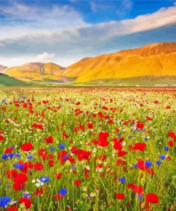 Spring Flower Fields Italy Diamond Paintings