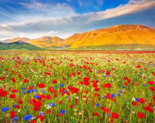 Spring Flower Fields Italy Diamond Paintings