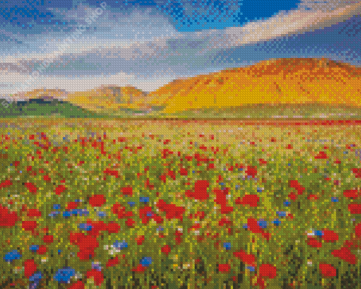 Spring Flower Fields Italy Diamond Paintings