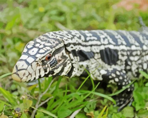 Tegu Lizard Diamond Paintings