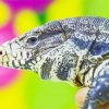 Tegu Lizard Reptile Diamond Paintings