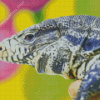 Tegu Lizard Reptile Diamond Paintings