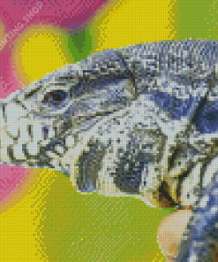 Tegu Lizard Reptile Diamond Paintings