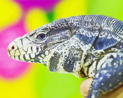 Tegu Lizard Reptile Diamond Paintings