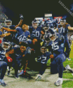 Tennessee Titans Players Diamond Paintings