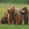 Three Bears Animals Diamond Painting