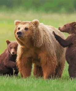 Three Bears Animals Diamond Paintings