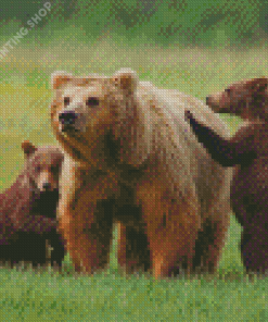 Three Bears Animals Diamond Painting