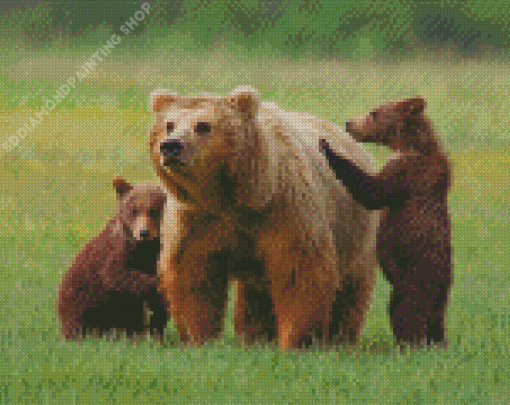 Three Bears Animals Diamond Painting