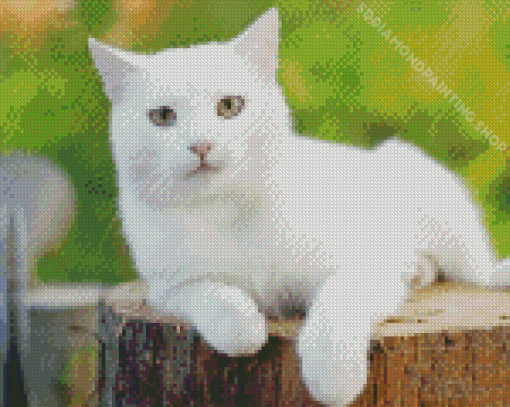 White Cat Diamond Paintings