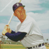 Baseball Player Al Kaline Diamond Paintings