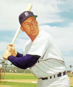 Baseball Player Al Kaline Diamond Paintings