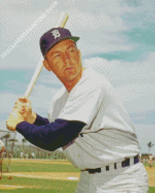 Baseball Player Al Kaline Diamond Paintings