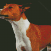 Basenji Dog Diamond Paintings