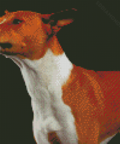 Basenji Dog Diamond Paintings