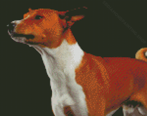 Basenji Dog Diamond Paintings