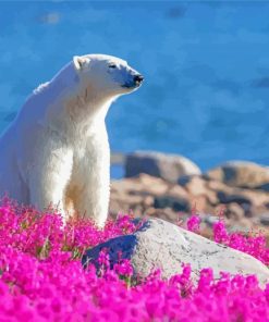 Bear In Flowers Field By River Diamond Paintings