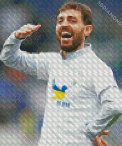 Bernardo Silva Football Player Diamond Paintings