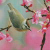 Bird Pink Flower Diamond Paintings