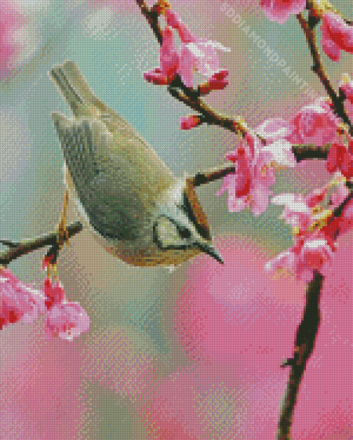 Bird Pink Flower Diamond Paintings