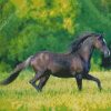 Black Welsh Pony Diamond Painting