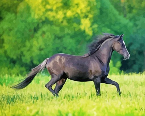 Black Welsh Pony Diamond Painting